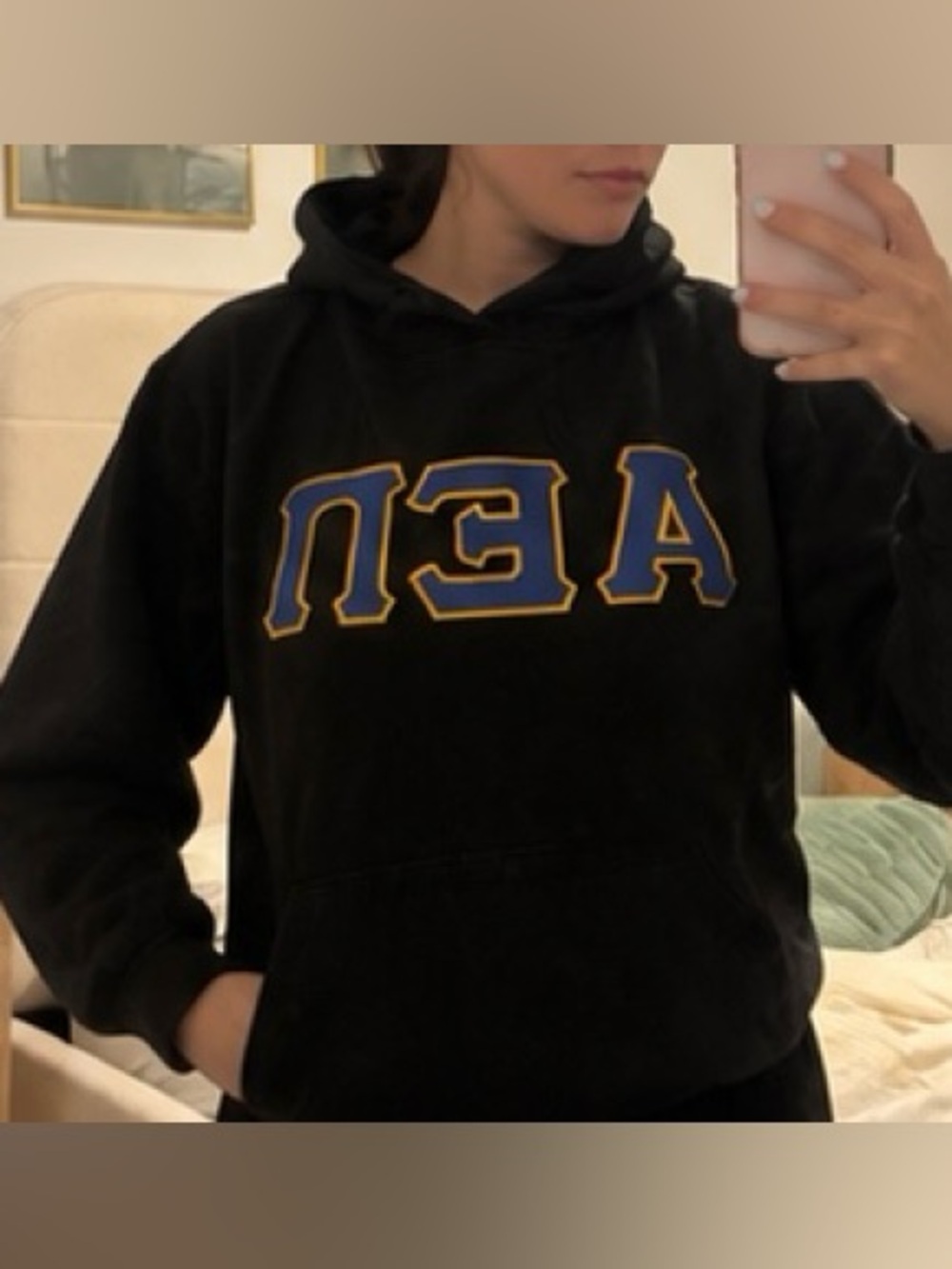 Alpha Epsilon Pi AEP Black Greek Letter Hoodie – Blue & Gold